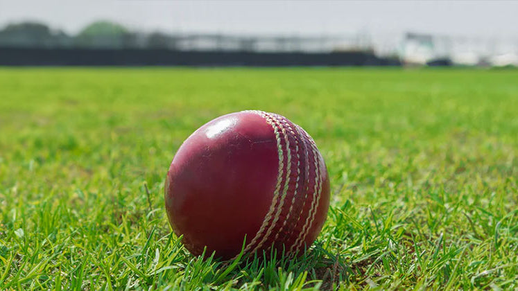 Sustainability In Cricket Wear: Qwicket's Commitment To A Pro-planet Future