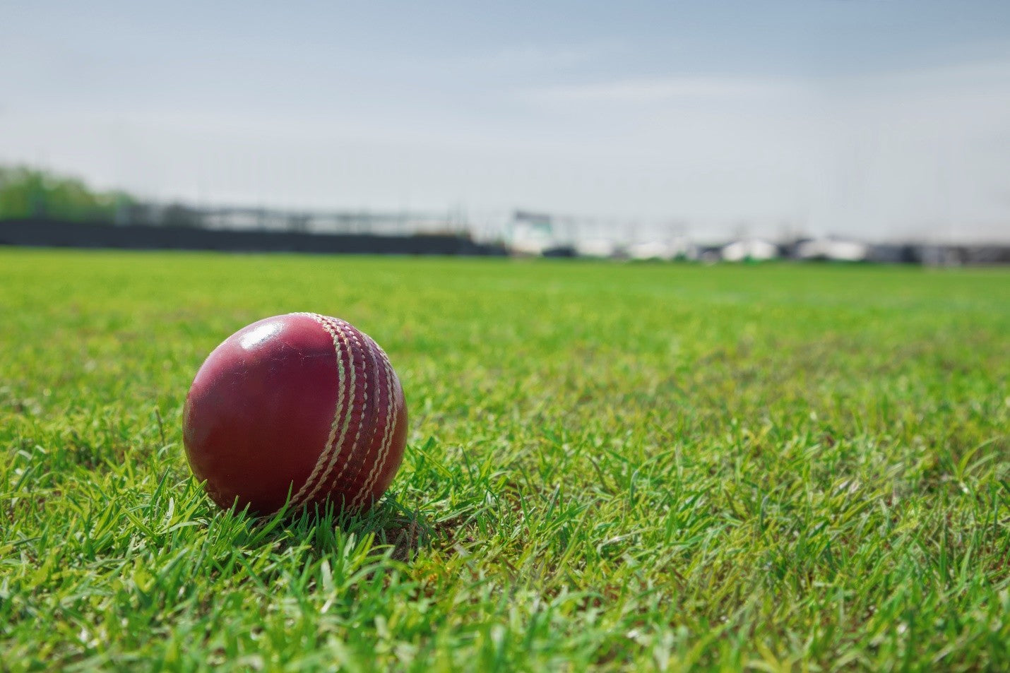 SUSTAINABILITY IN CRICKET WEAR